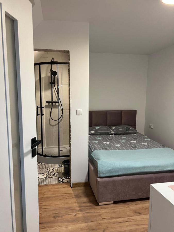 Pokoj Z Aneksem Kuchennym Apartment
